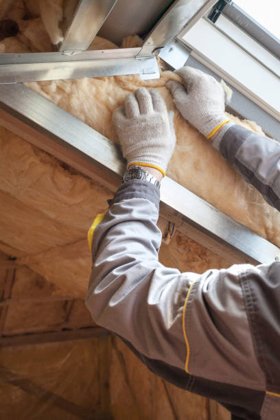 Best Residential Insulation in Pearl River, MS